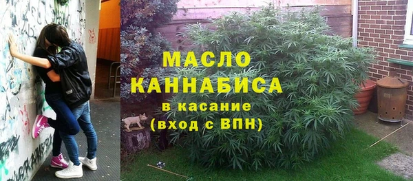 дмт Алзамай